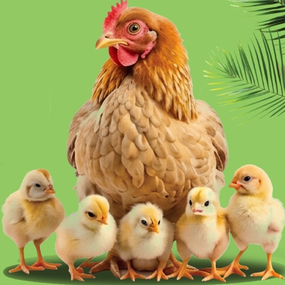 Avrasya Poultry Show Fair 2026